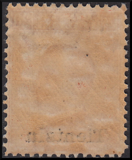 Post Offices in China, c. 20 orange typographical overprint "Tientsin" (14) new *