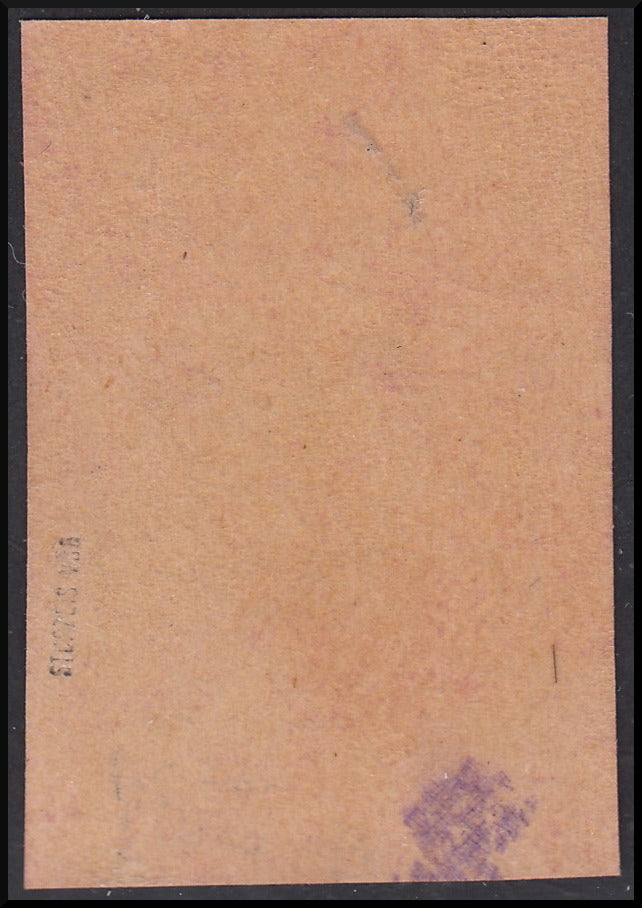 Merano, colored typographical print on the recto, 1st type, 10 new pink hellers (5th)