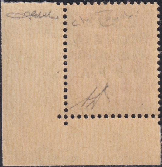 Imperiale c. 20 carminio soprastampato "ZONA / OCCUPATA / FIUMANO / KUPA" nuovo gomma integra (18)