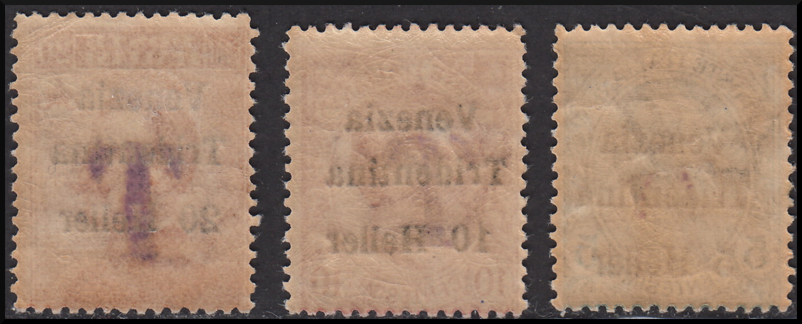 PPP591 - 1918 - Trentino Alto Adige, Bolzano 1 office, temporary tax stamps overprinted Venezia Tridentina and T (BZ1/5-BZ1/7)