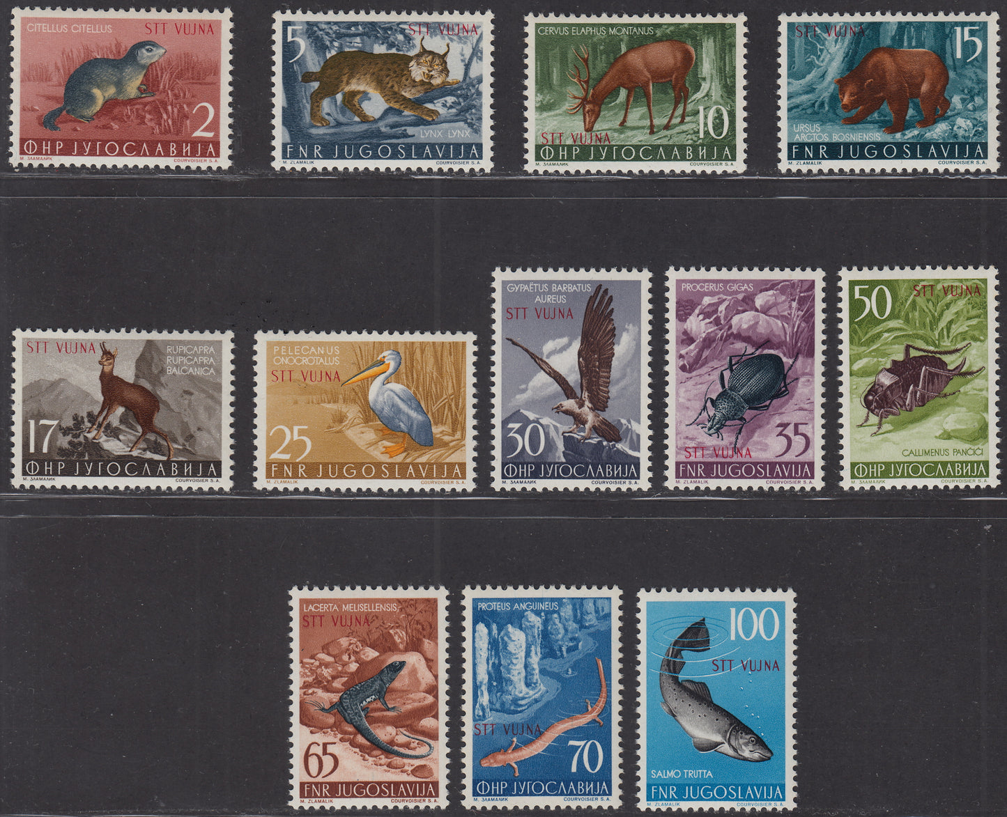 1954 - Animales, sellos de Yugoslavia con colores cambiados, juego completo de 12 sellos nuevos intactos (101/112) 